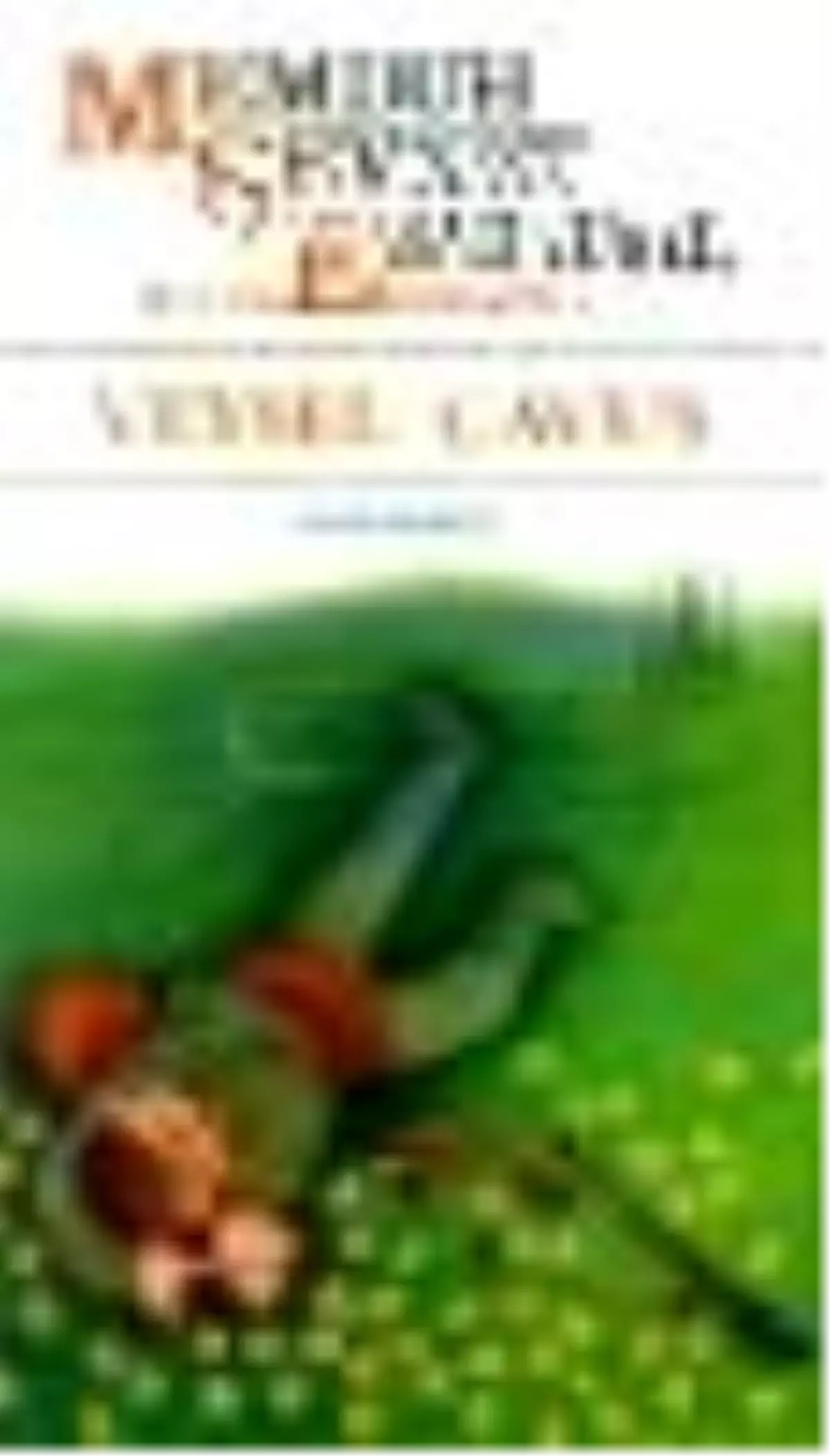 Veysel Çavuş Kitabı