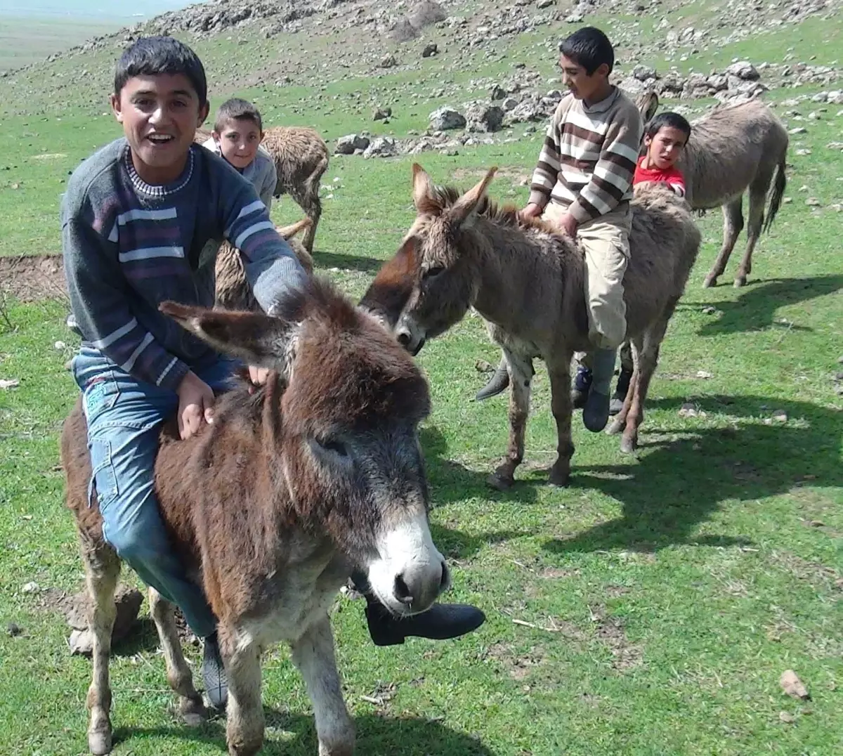 Yıllar Sonra Yaylalara Çıkıyorlar