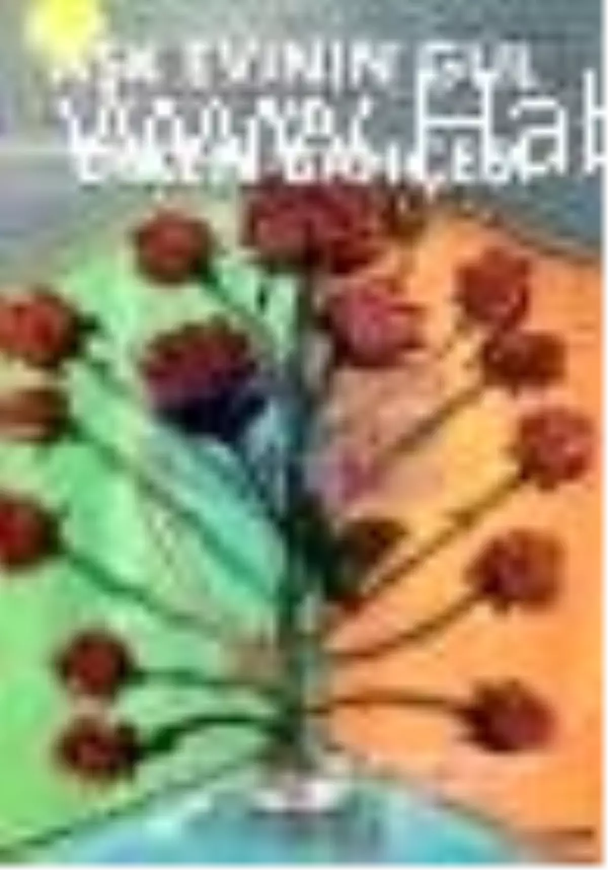 Aşk Evinin Gül ve Diken Bahçesi Kitabı