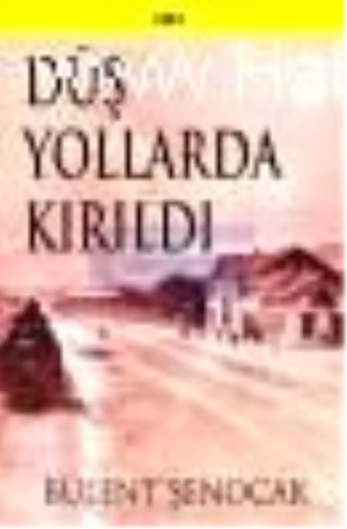 Düş Yollarda Kırıldı Kitabı