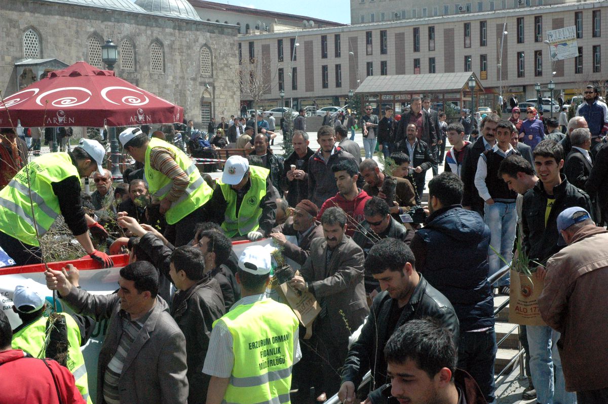 Erzurum\'da Fidan İzdihamı