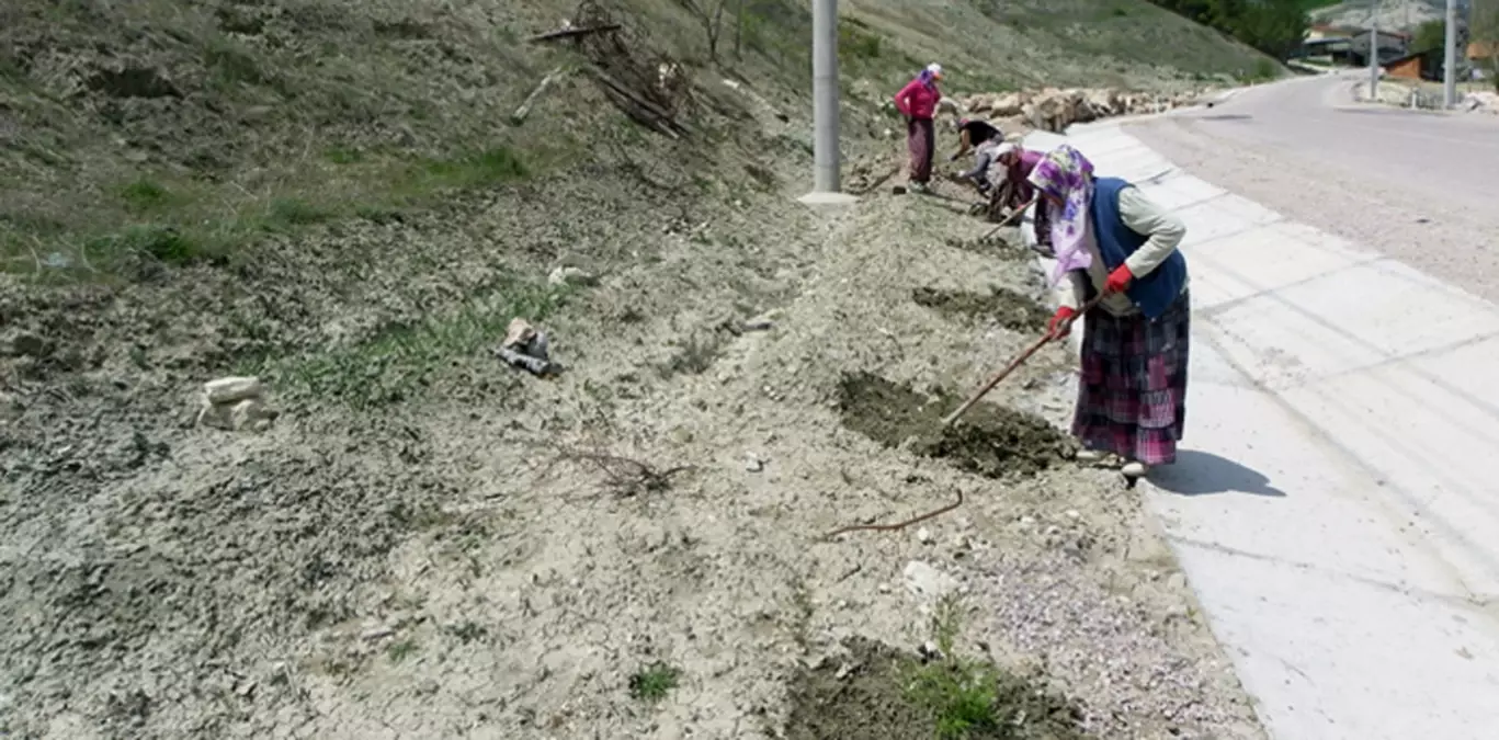 Gediz\'de Ağaçlandırma Çalışmaları Hızlandırıldı