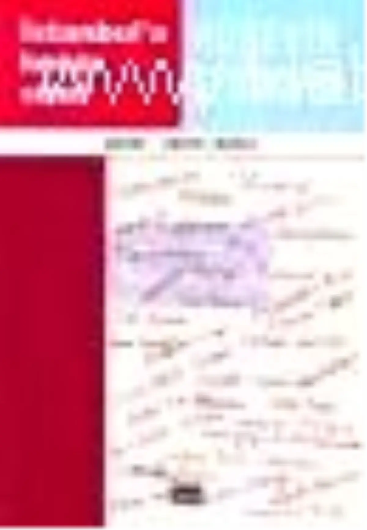 İstanbul\'a Kenar Süsü Kitabı