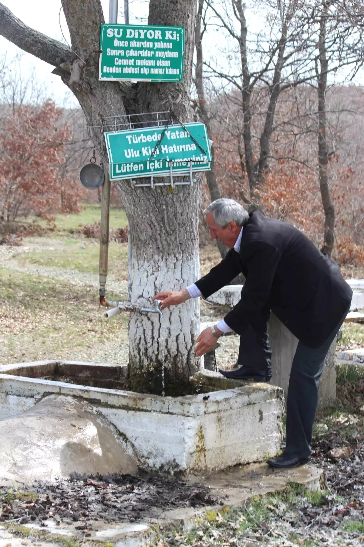 Meşe Ağacının Gövdesi Çeşme Hizmeti Veriyor