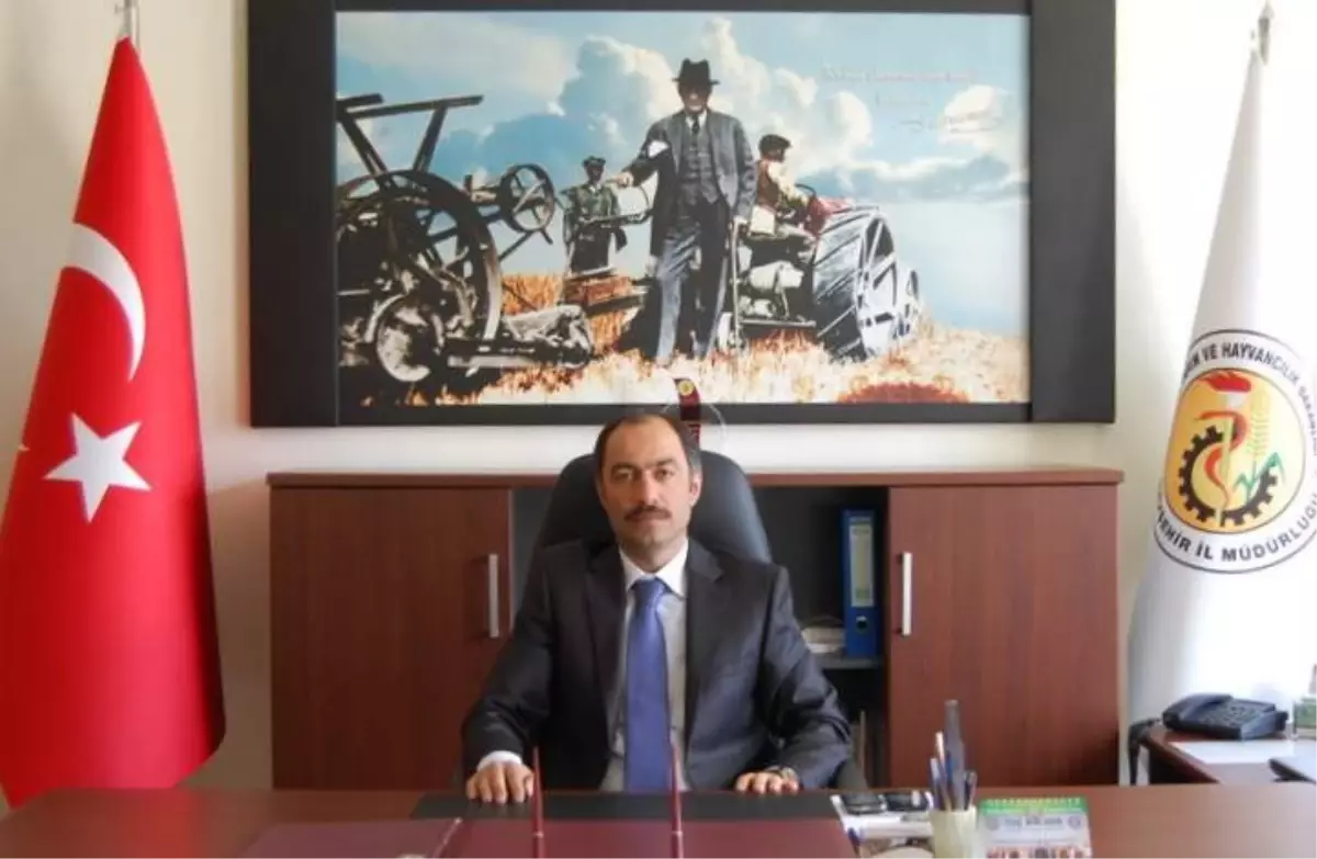 Patatesteki İhracat Artışı Sevindiriyor