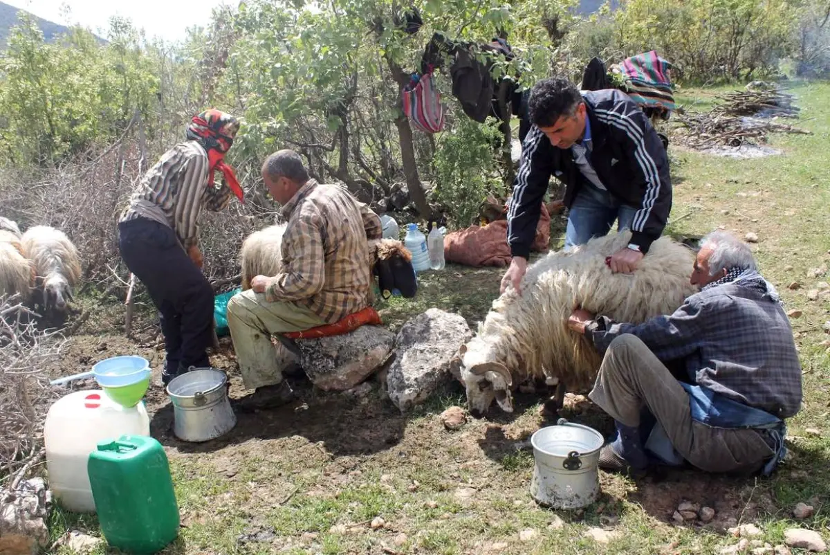 Siirt Dağlarına Bahar Geldi