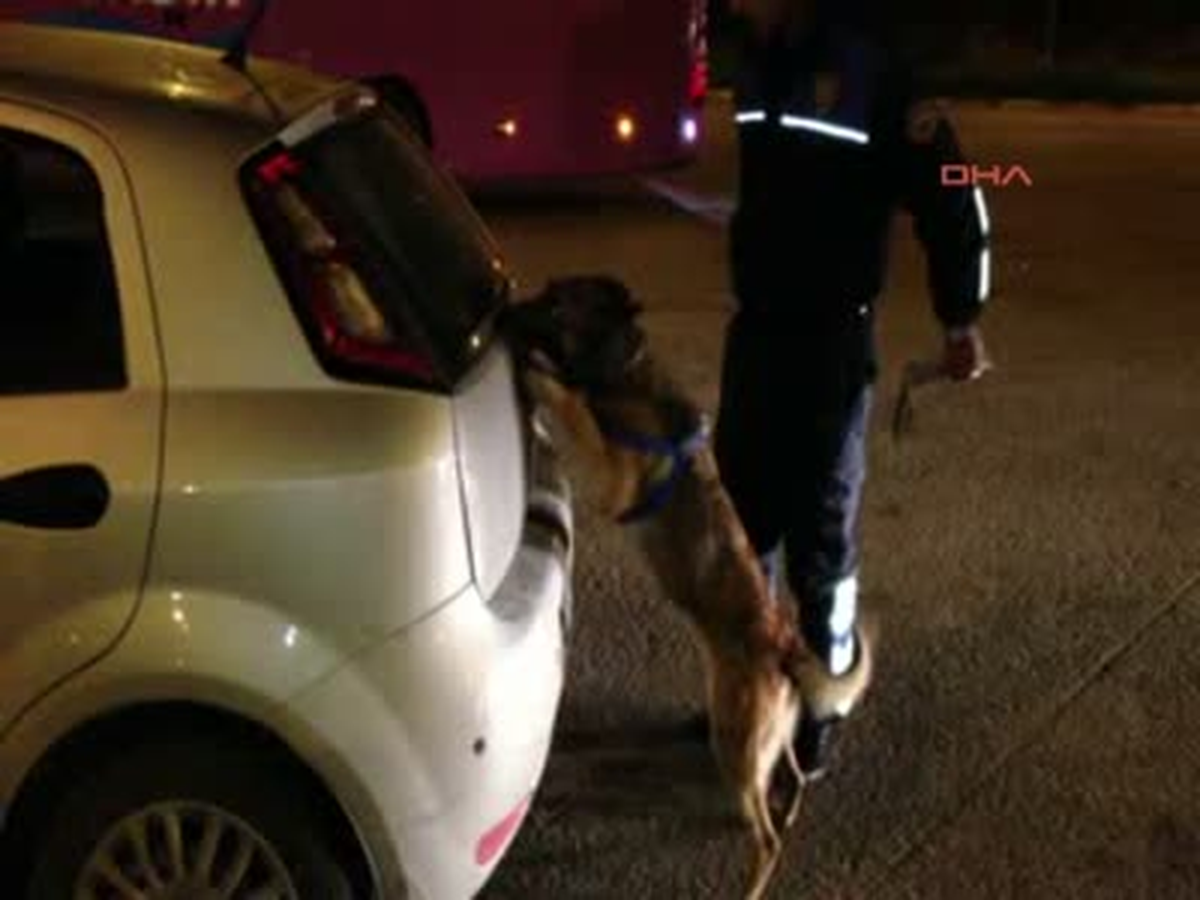 Adana Sakatata Sarılı Esrarı Narkotik Köpekleri Buldu Sakatata Sarılı Esrarı Narkotik Köpekleri...