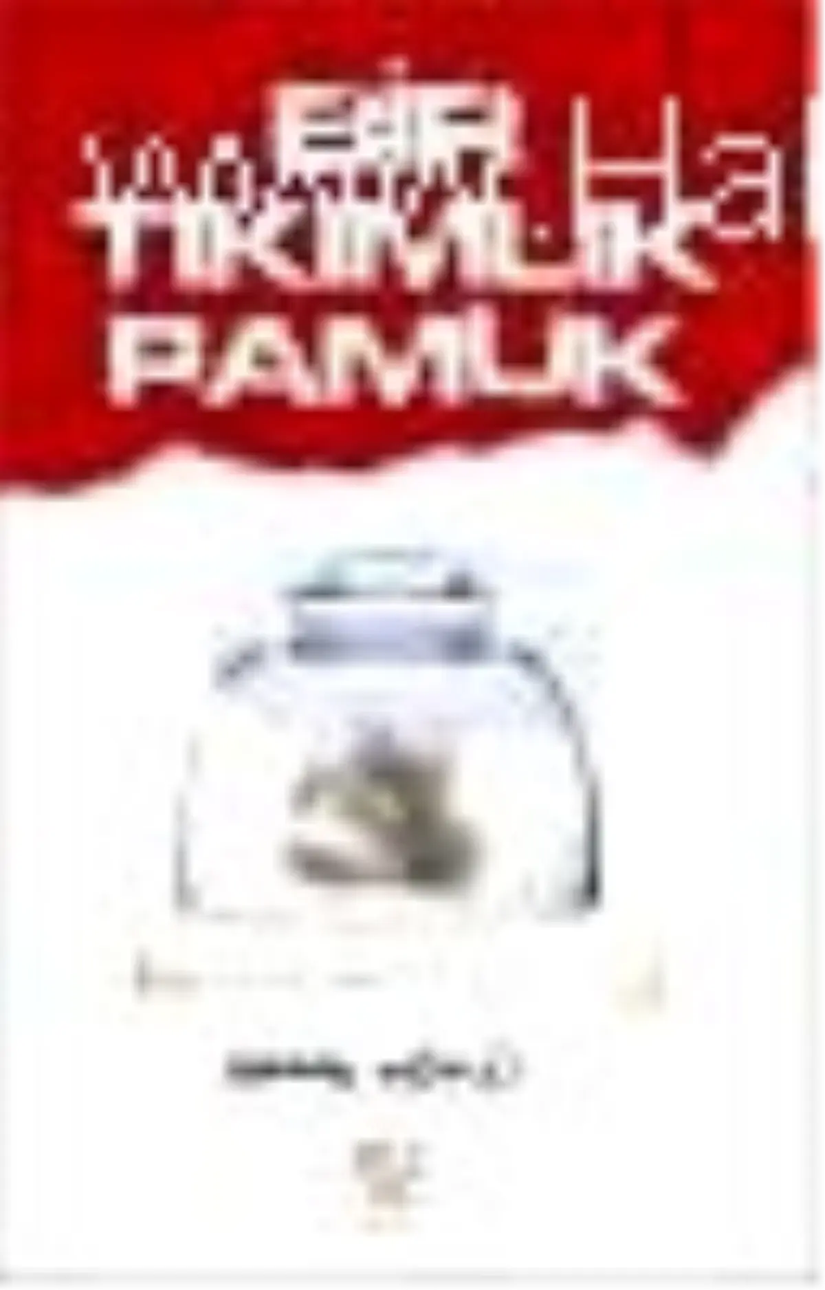 Bir Tıkımlık Pamuk Kitabı