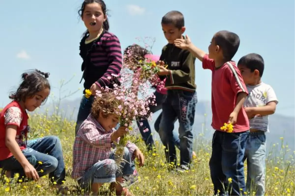 Cudi Dağı\'ndan, Başbakan\'a Çiçek