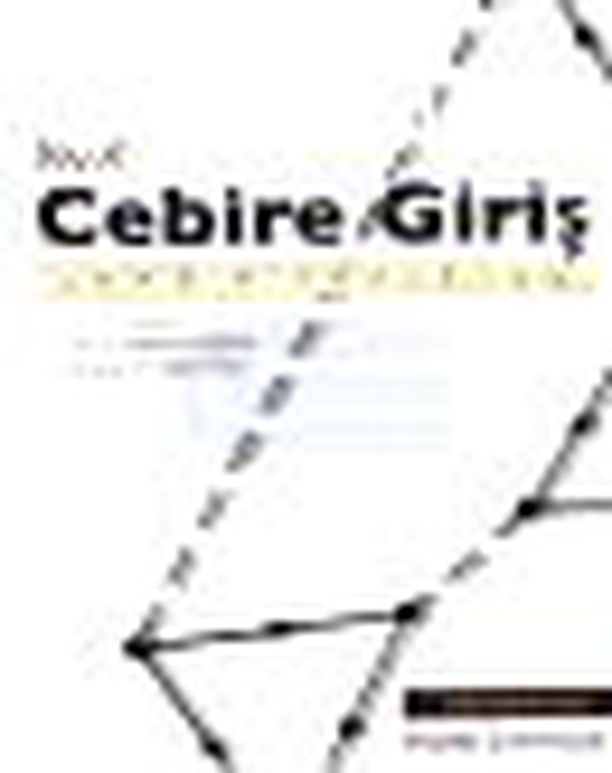 Soyut Cebire Giriş Kitabı