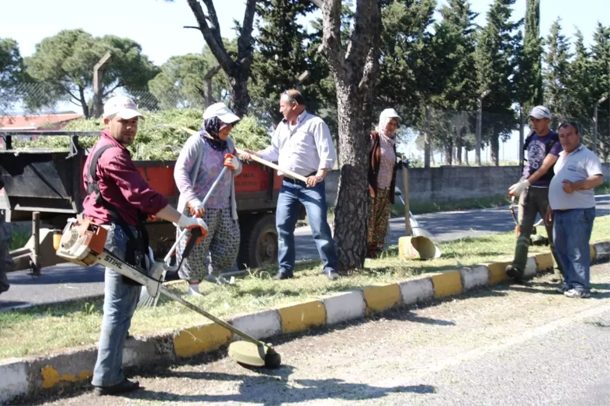 Ayvalık Belediyesi\'nde Bahar Temizliği