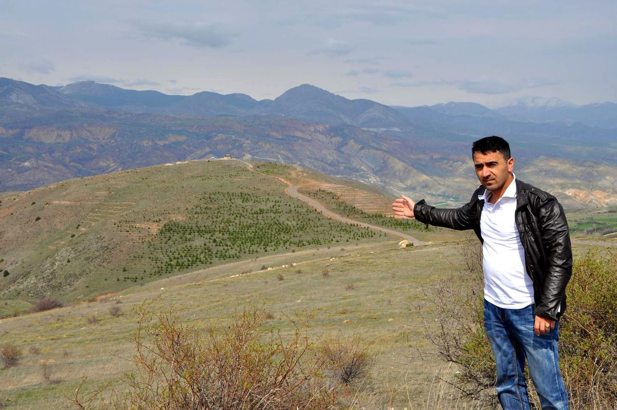 Koyulhisar\'da Bal Ormanı Projesi Hedefine Ulaştı
