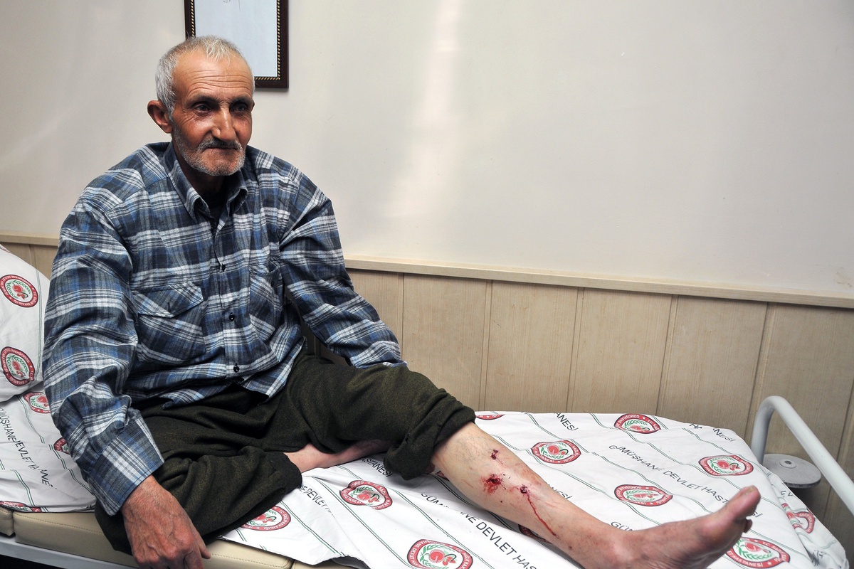 Mantar Toplamaya Giden Vatandaşa Ayı Saldırdı