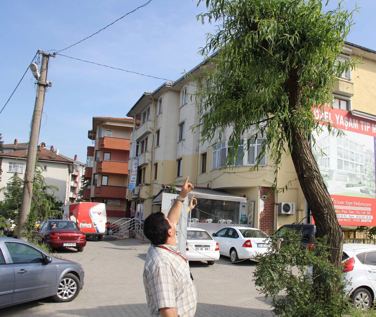 Ağlayan Ağaç Görenleri Şaşırtıyor