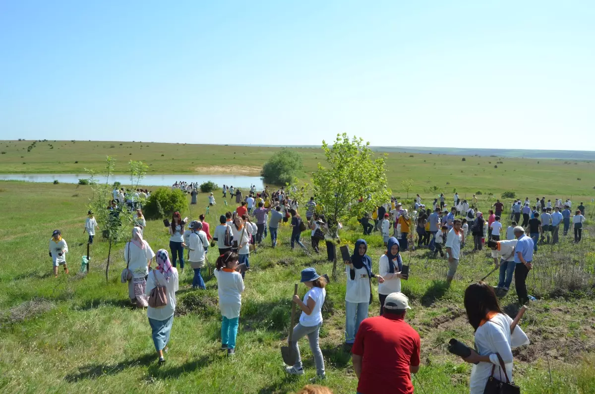 Çevre Ordusundan Musabeyli Köyüne 300 Fidan