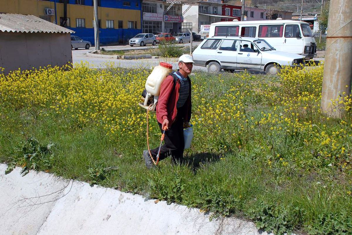 Gediz Belediyesi Haşere ile Mücadele Çalışması Başlattı