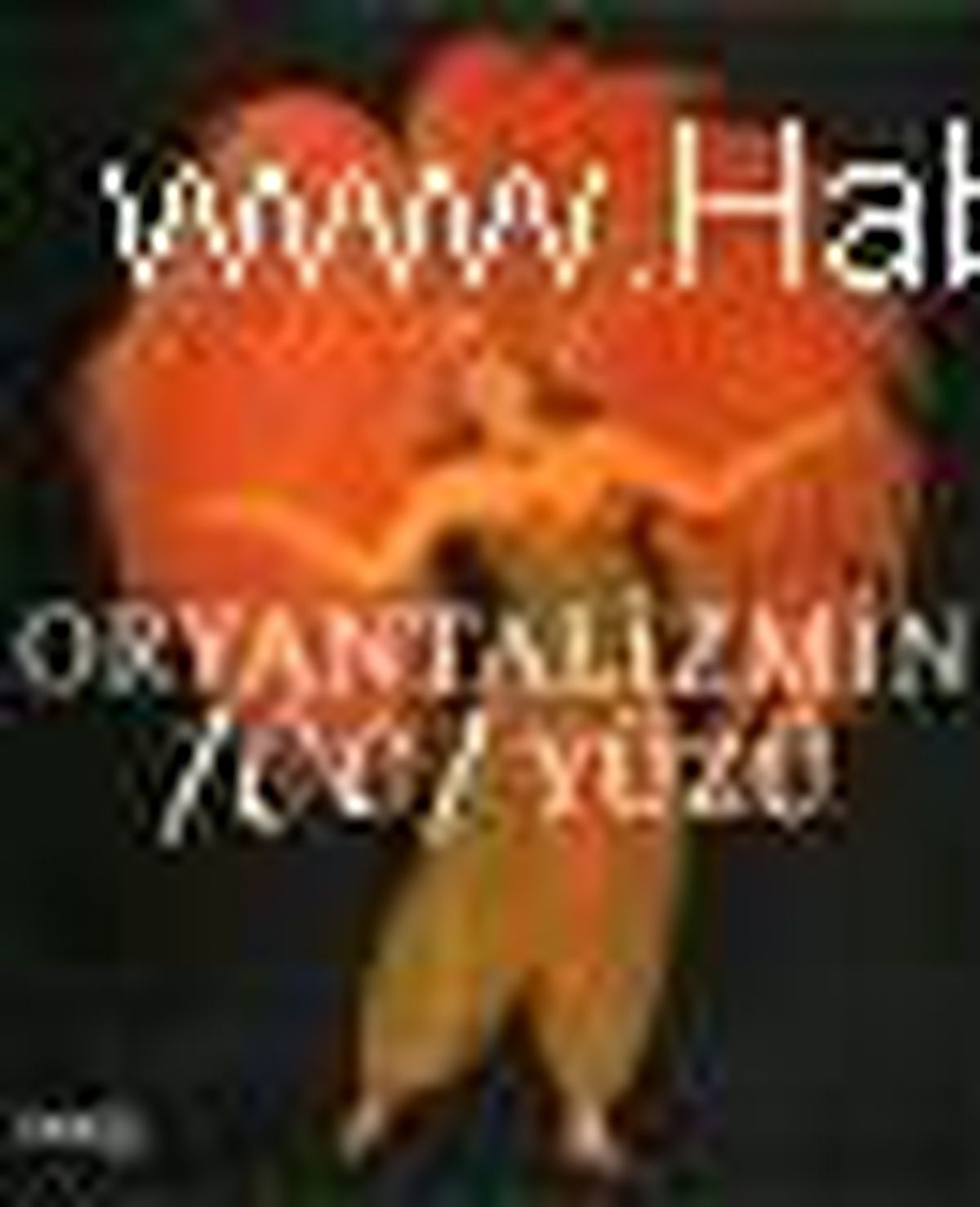 Oryantalizmin 1001 Yüzü Kitabı