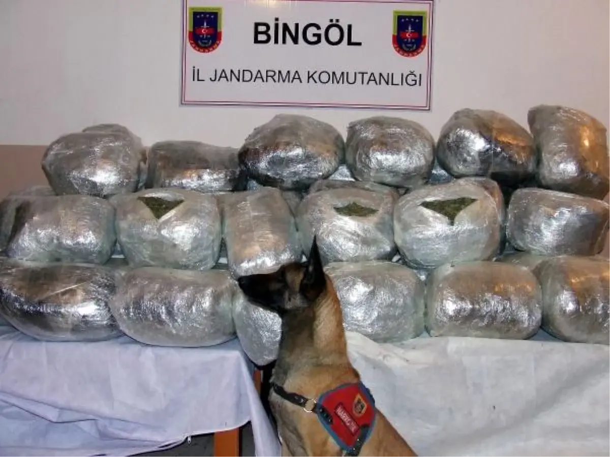 Bingöl\'de 306 Kilo Esrar Ele Geçirildi