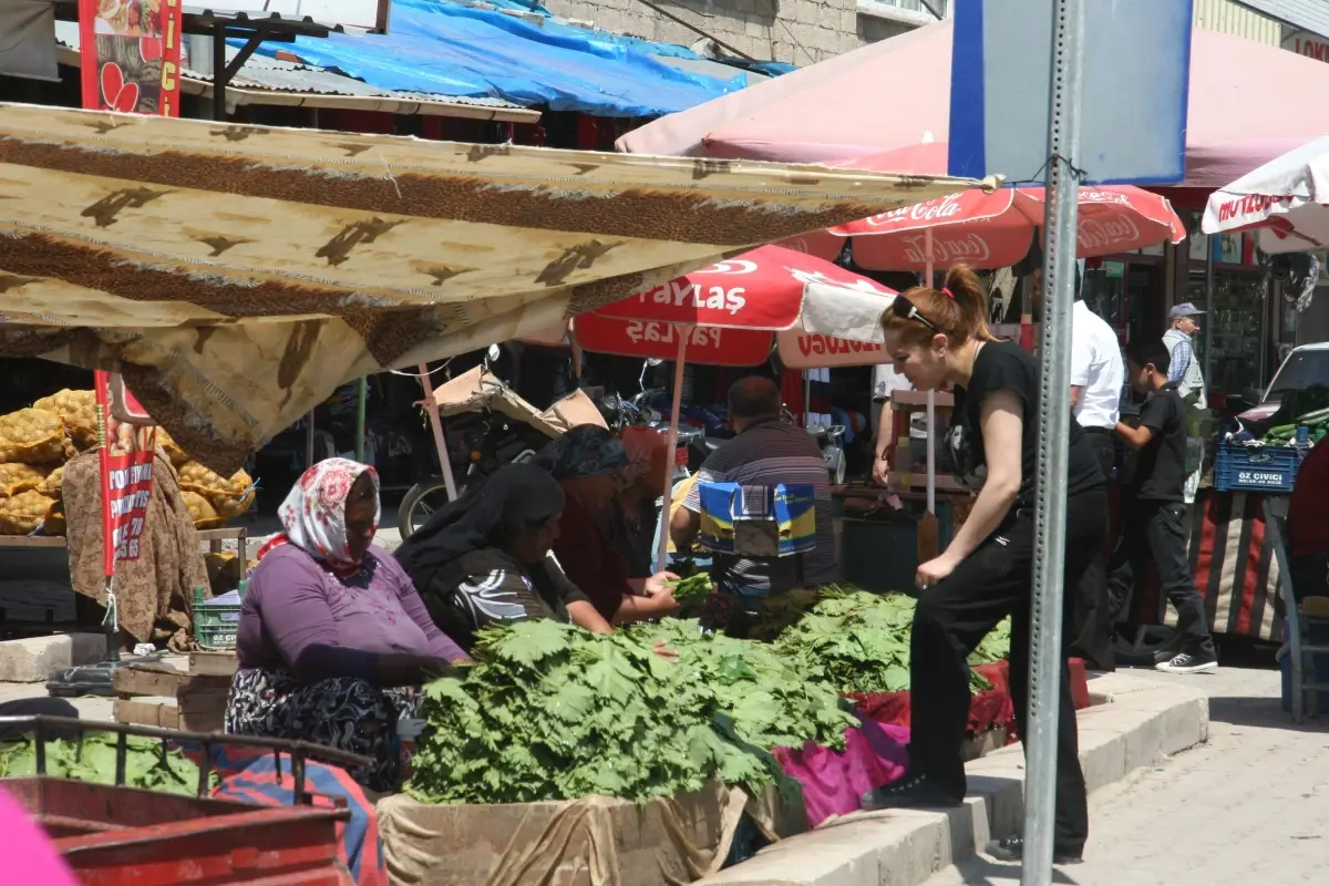 Kilis\'te Asma Yaprağına Yoğun Talep