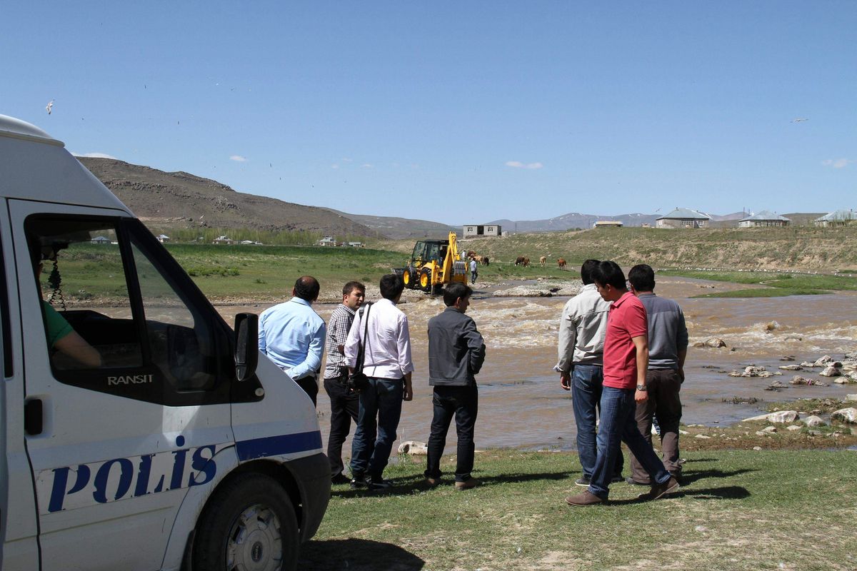 Martıların Balık Ziyafeti