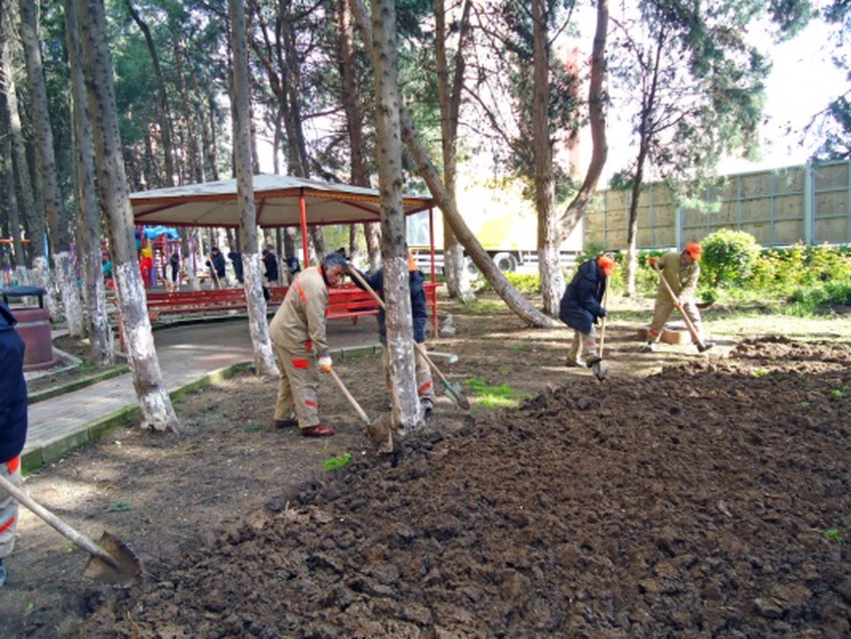 Beylikdüzü Koruluklarına Bakım ve İyileştirme