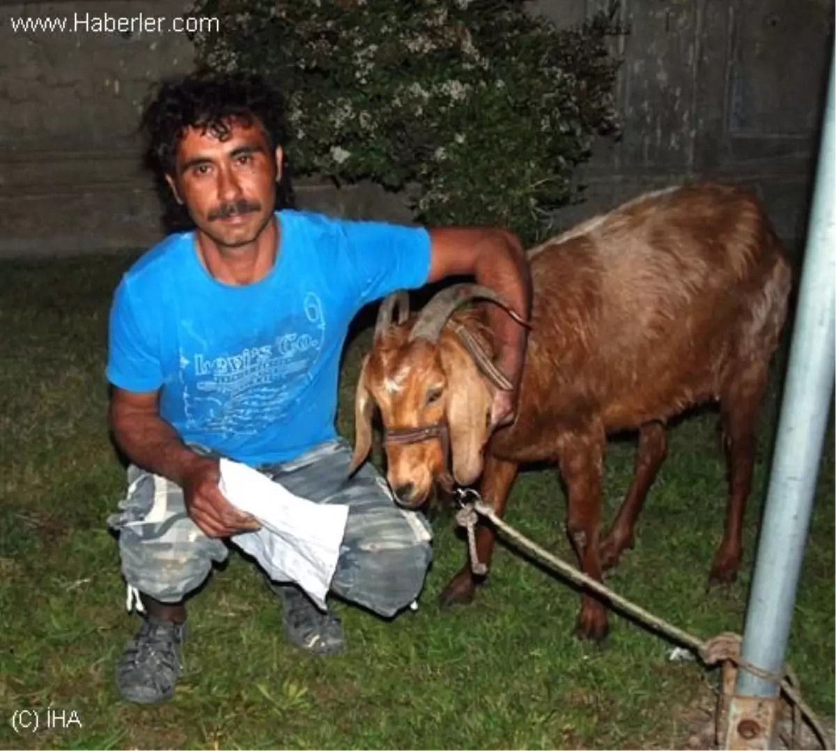 Keçisini Köpek Isırınca Acil Servise Getirdi