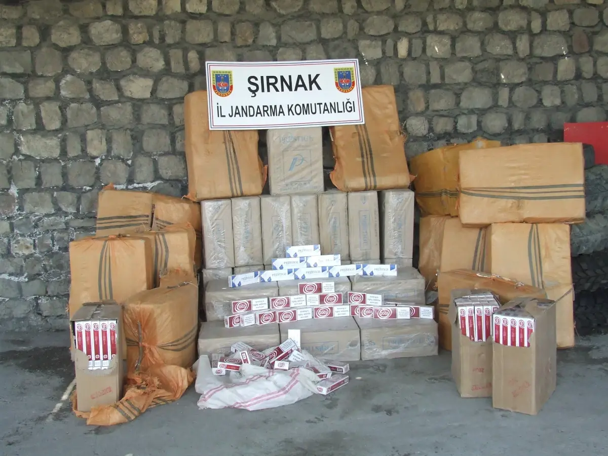 Şırnak\'ta 65 Bin 880 Paket Kaçak Sigara Ele Geçirildi