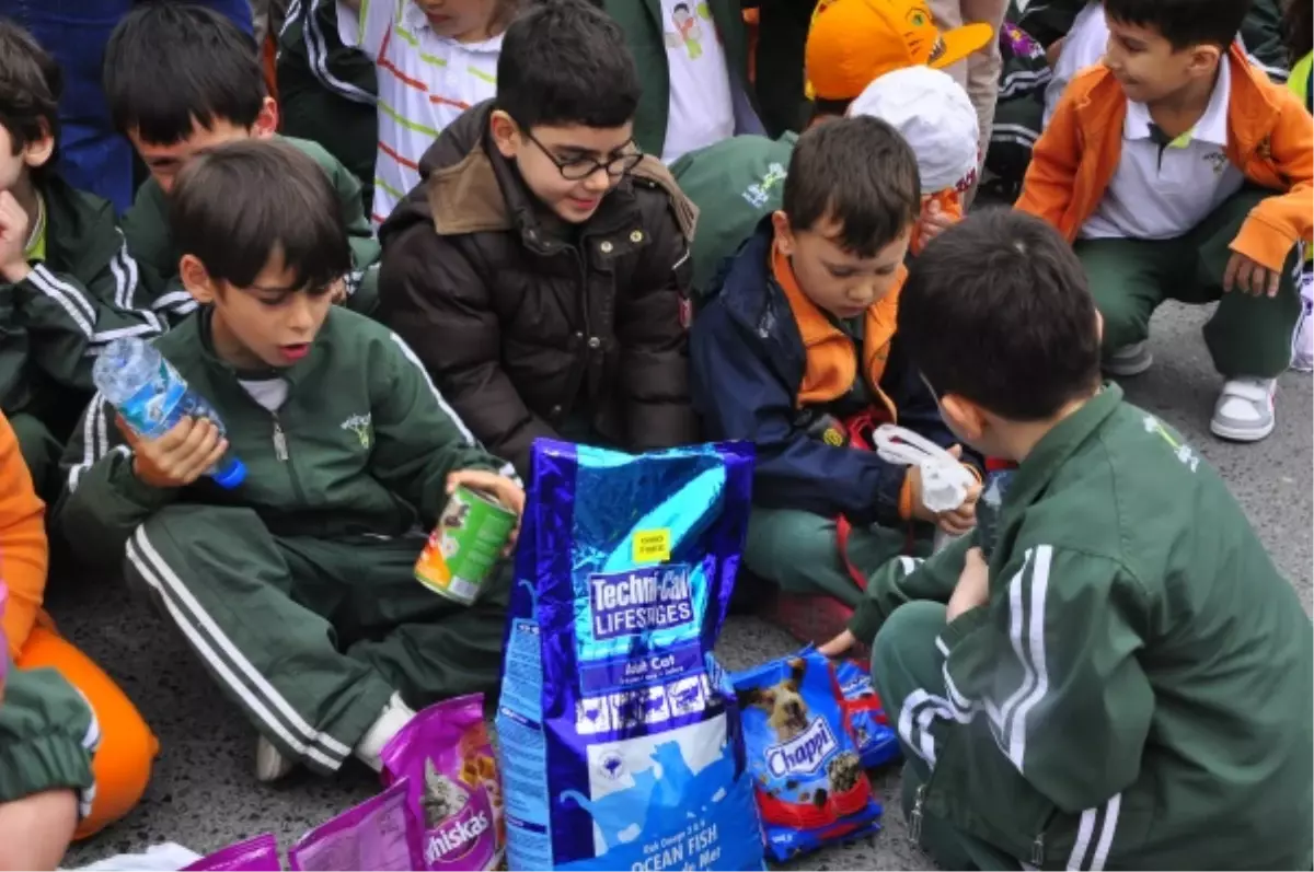 Çocuklar, En Yakın Dostları İçin En Çok Mamayı Topladılar