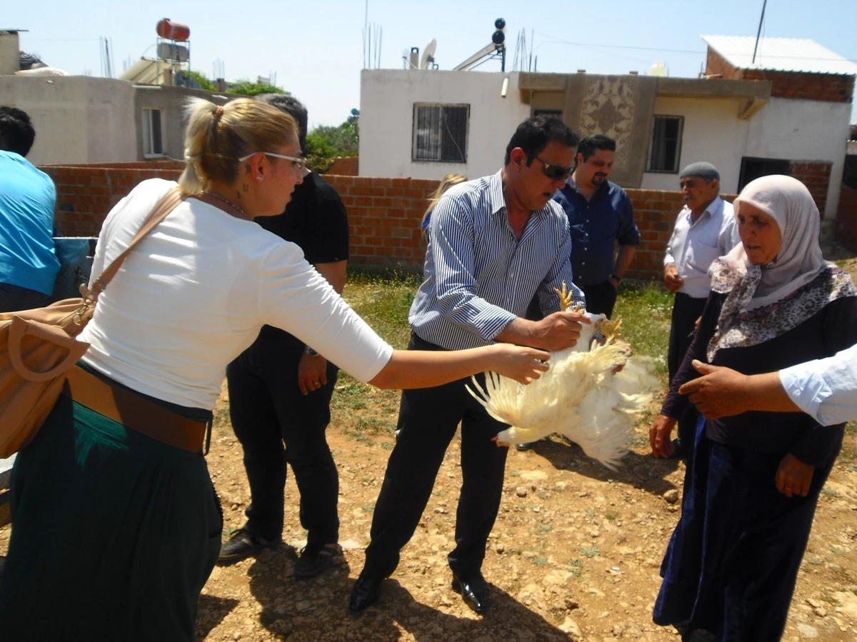 Didim\'de Parti Eğitimi Kapsamında Köylülere CHP\'den Ücretsiz Tavuk…