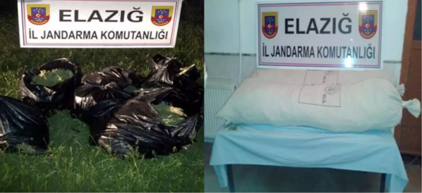 Elazığ\'da 31 Kilo Esrar Ele Geçirildi