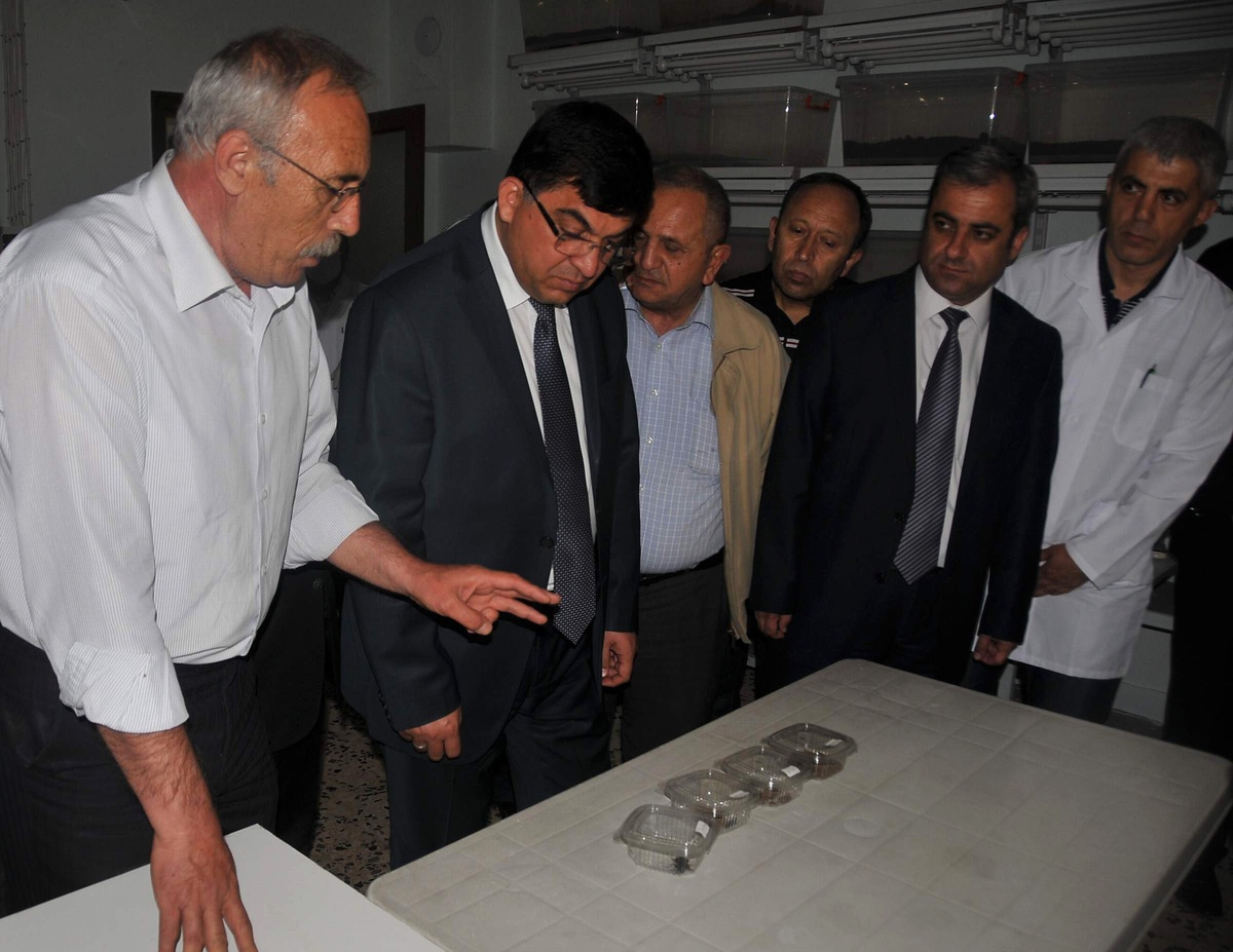 Çam Kese Böceği İle Mücadele Laboratuvarı Kuruldu