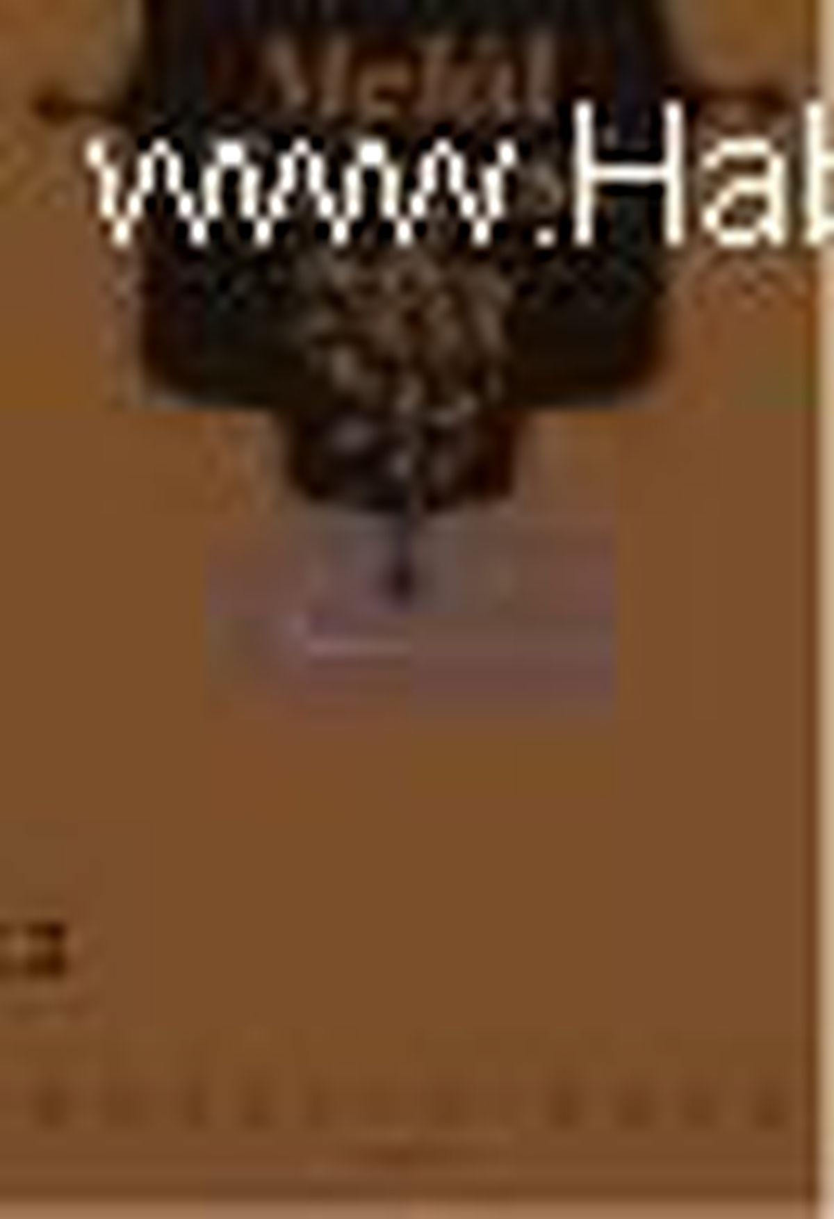 Melal Bahçesi Kitabı