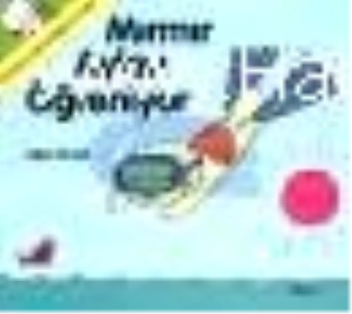 Mırmır Ayları Öğreniyor Kitabı