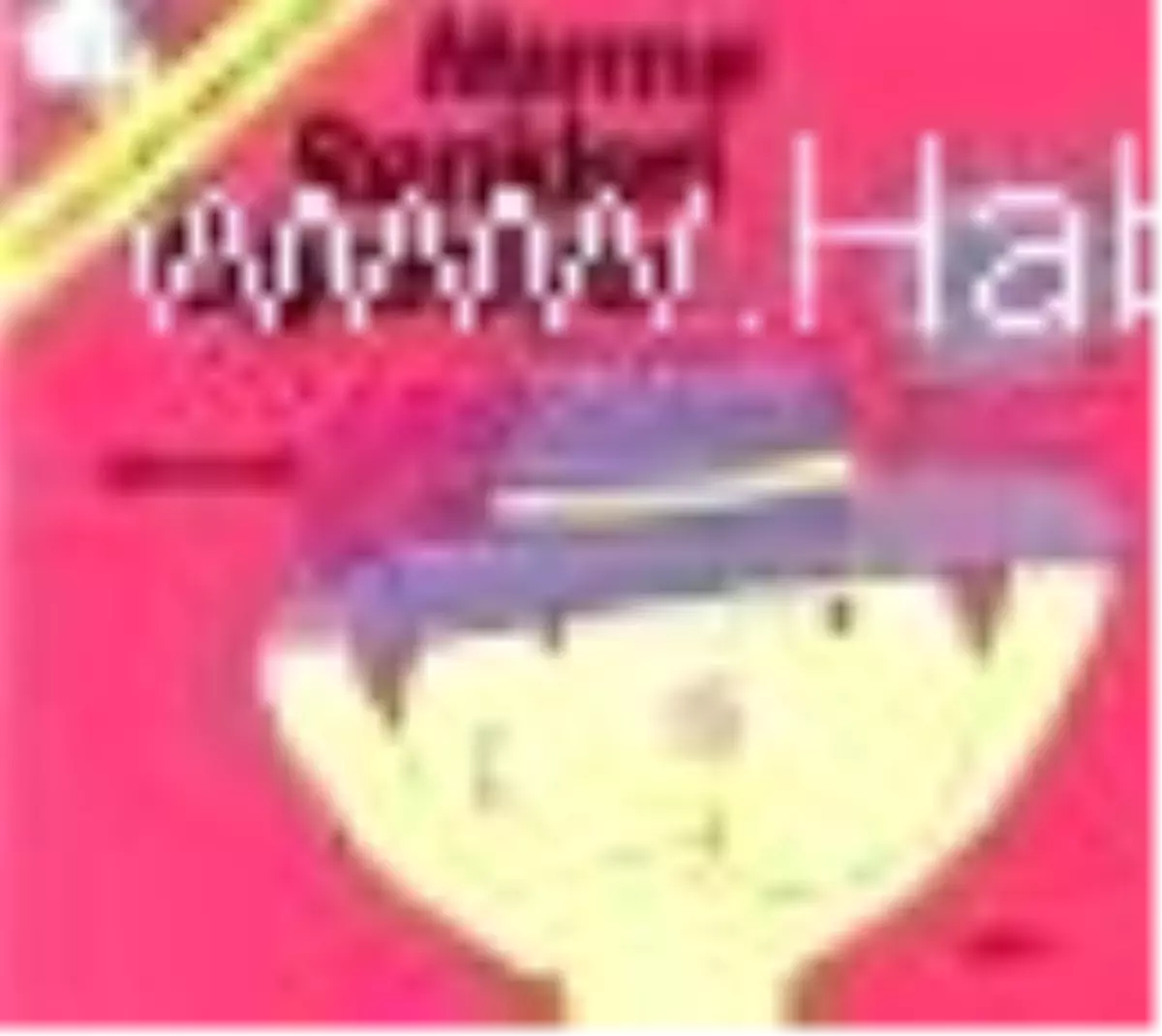 Mırmır Renkleri Öğreniyor Kitabı