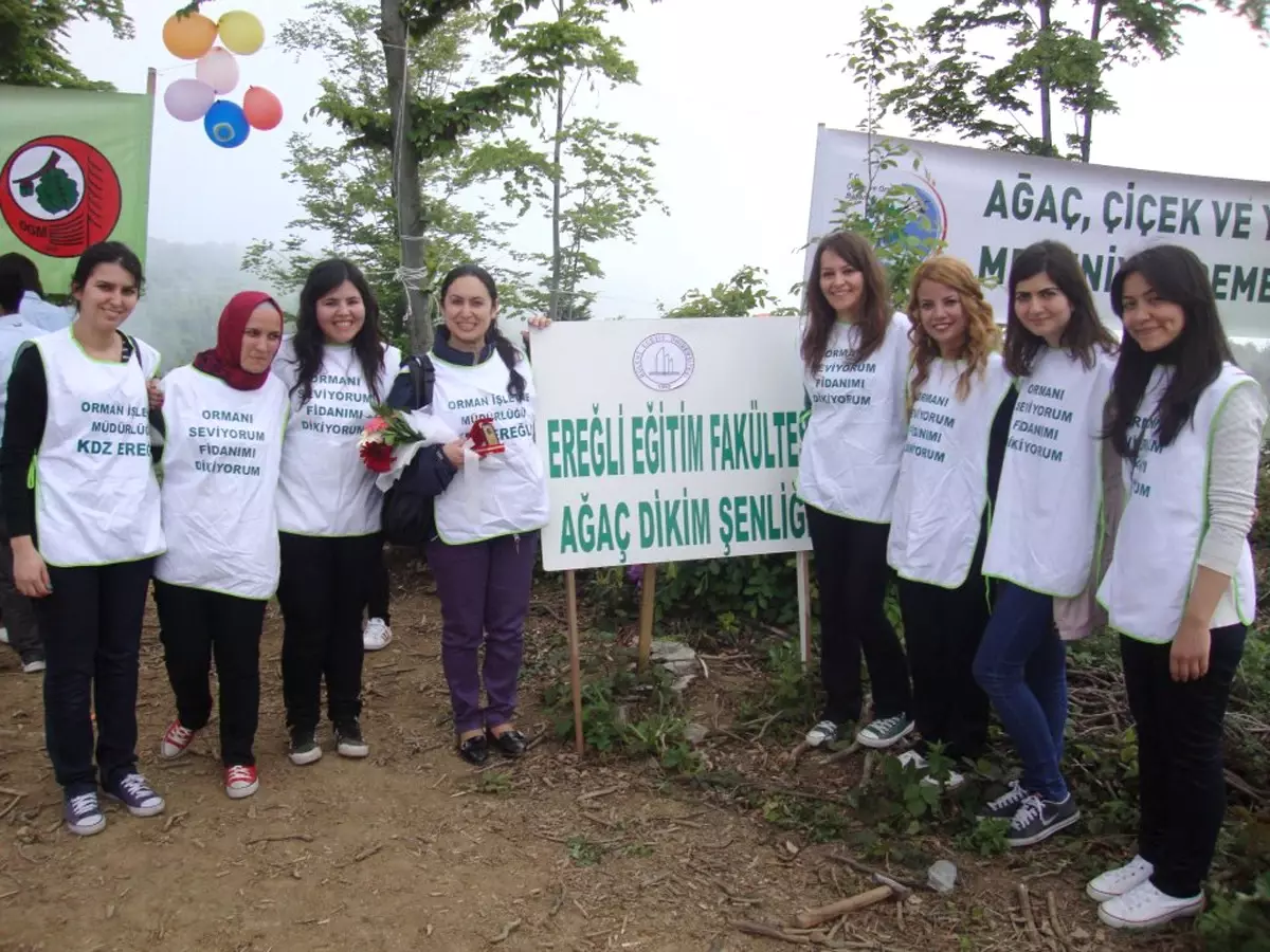 Üniversite Öğrencilerinden Ağaç Dikim Şenliği,