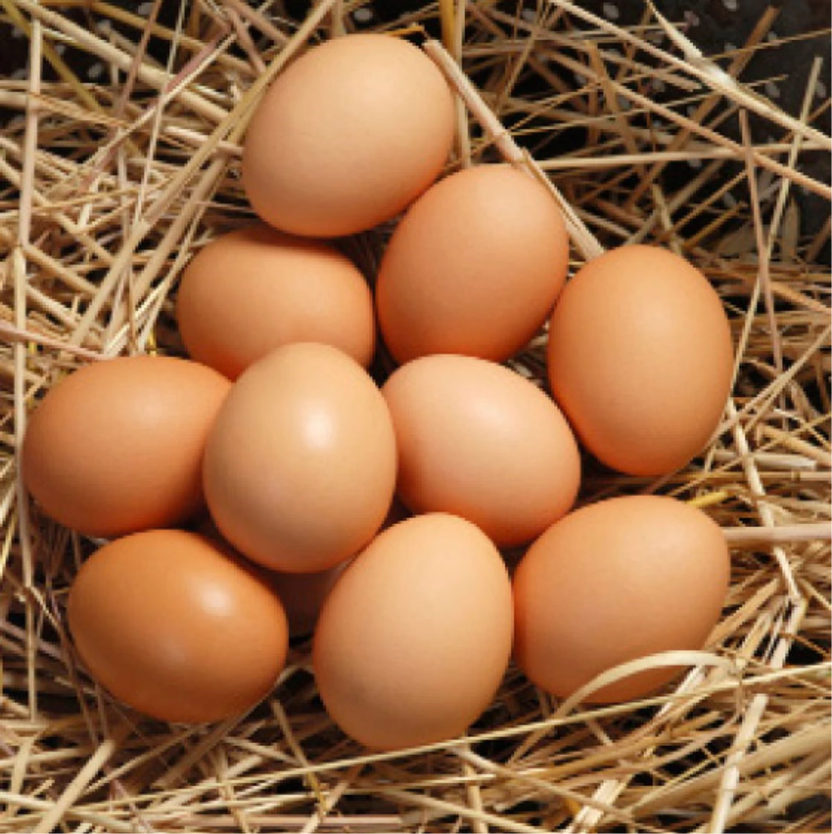 Yumurta Fiyatlarındaki Düşüş Yansıtılmıyor