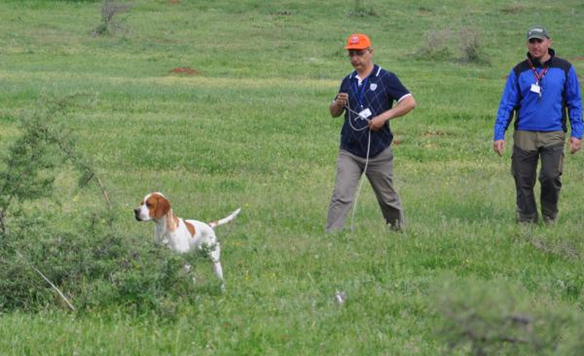 Avcılar Prestij, Köpekler Mama İçin Yarıştı