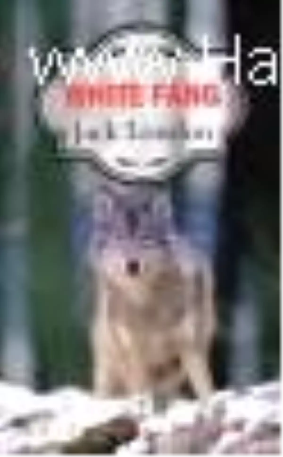 White Fang Kitabı