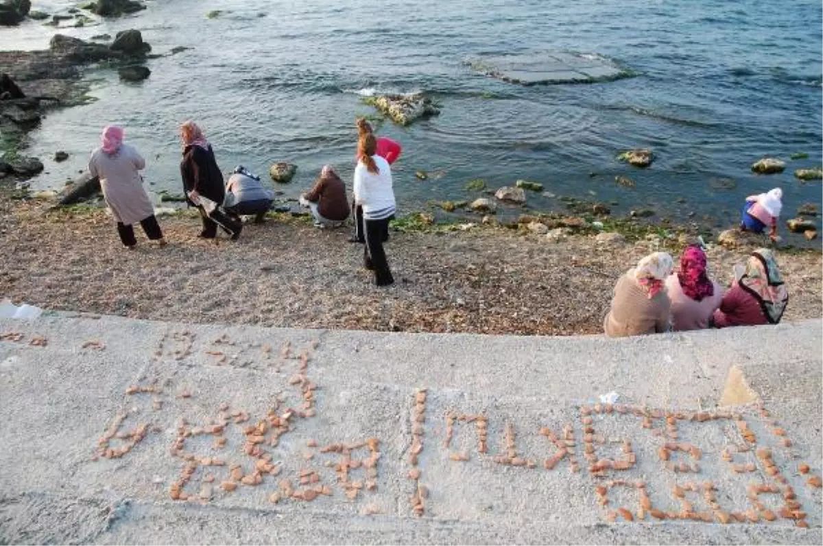 Gelibolulular, Hıdırellez Sabahı Sahile Koştu