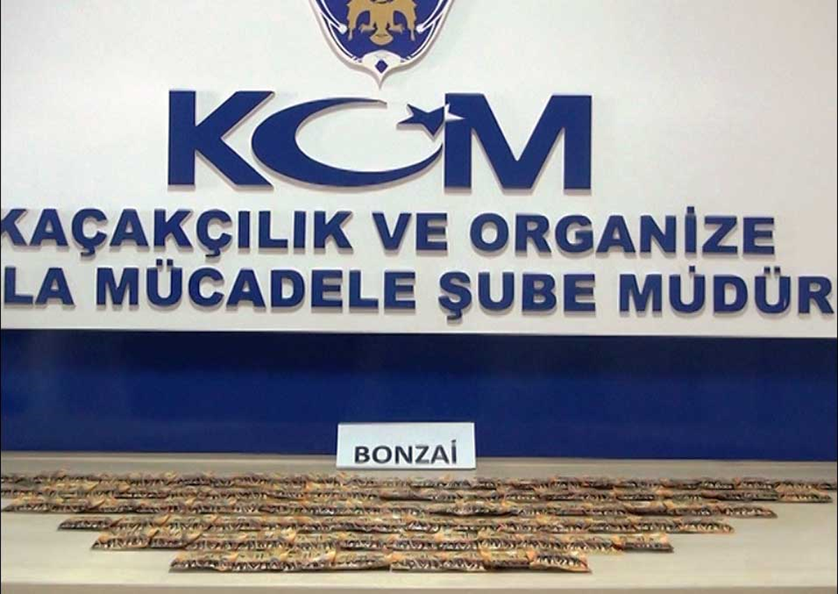 İzmir Emniyetinden, "Bonzai" Uyuşturucu Operasyonu