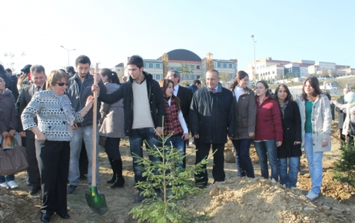 Öğrenciler 350 Çam Fidanı Dikti