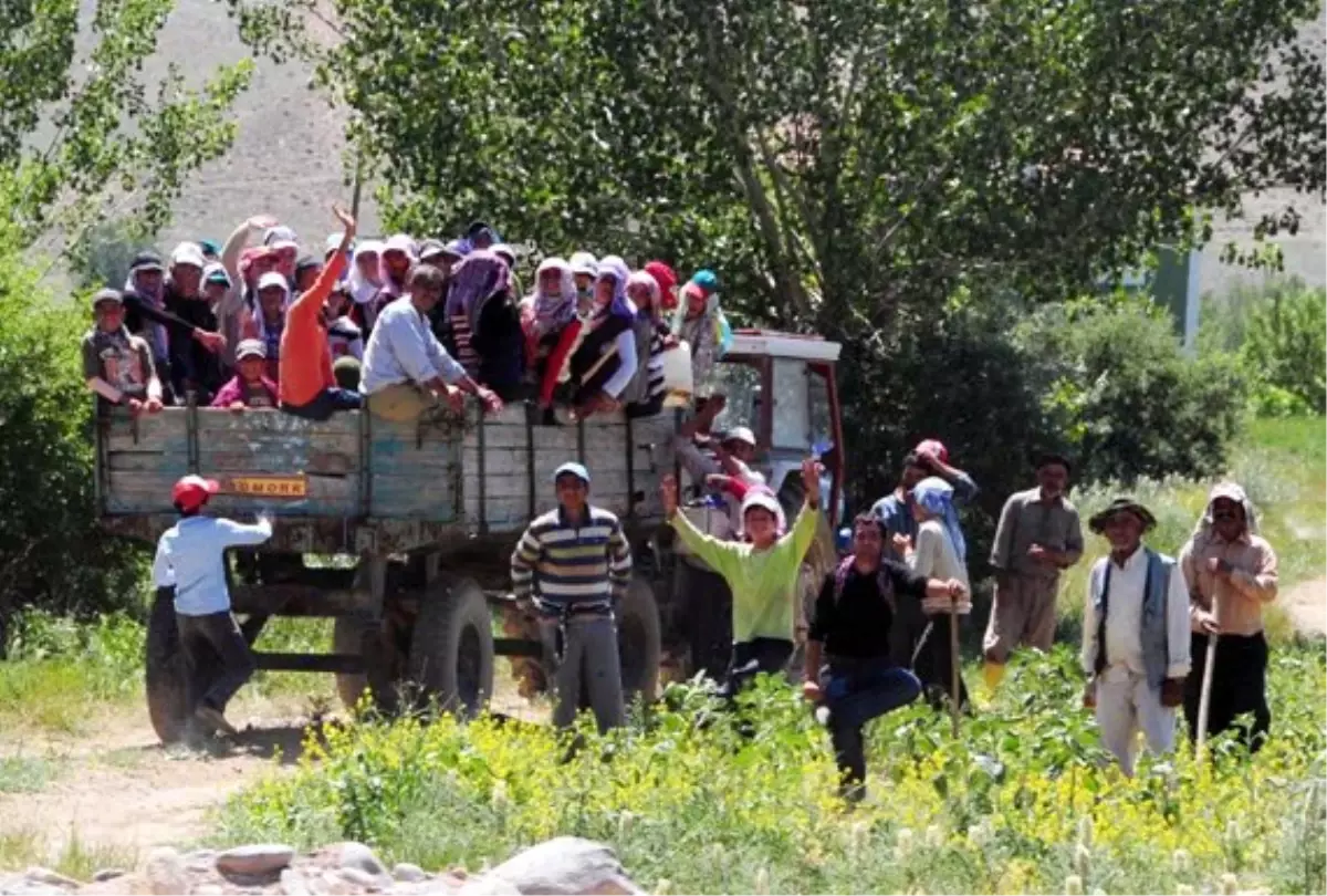 Tarımsal İşletmelerde Ücret Yapısı Araştırıldı