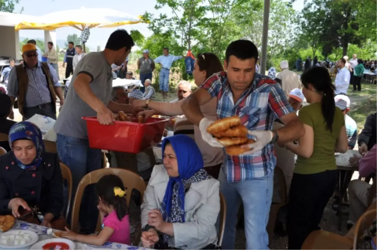 Altıkaraağaç Dedesi Hayrı Binlerce Kişinin Katılımı ile Yapıldı