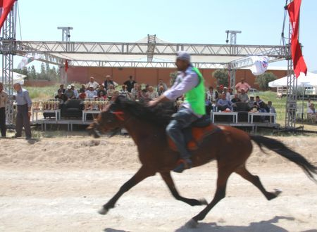 At Yarışları