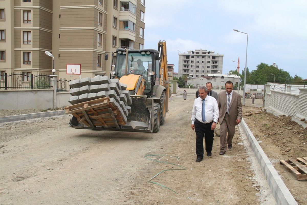 Demirtaş, Çalışmaları Yerinde İnceledi