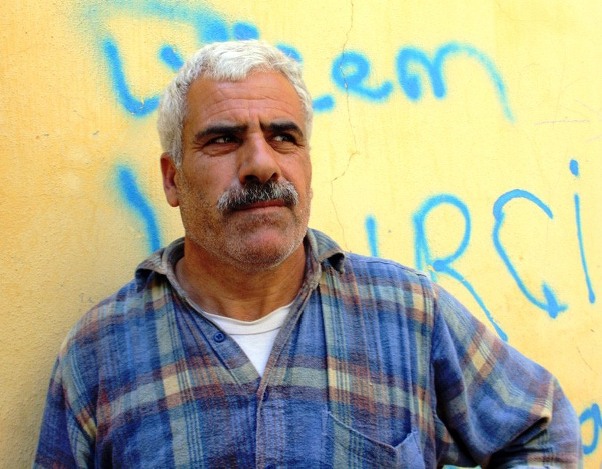 Devrilen Dev Ağaç Otomobilleri Hurdaya Çevirdi