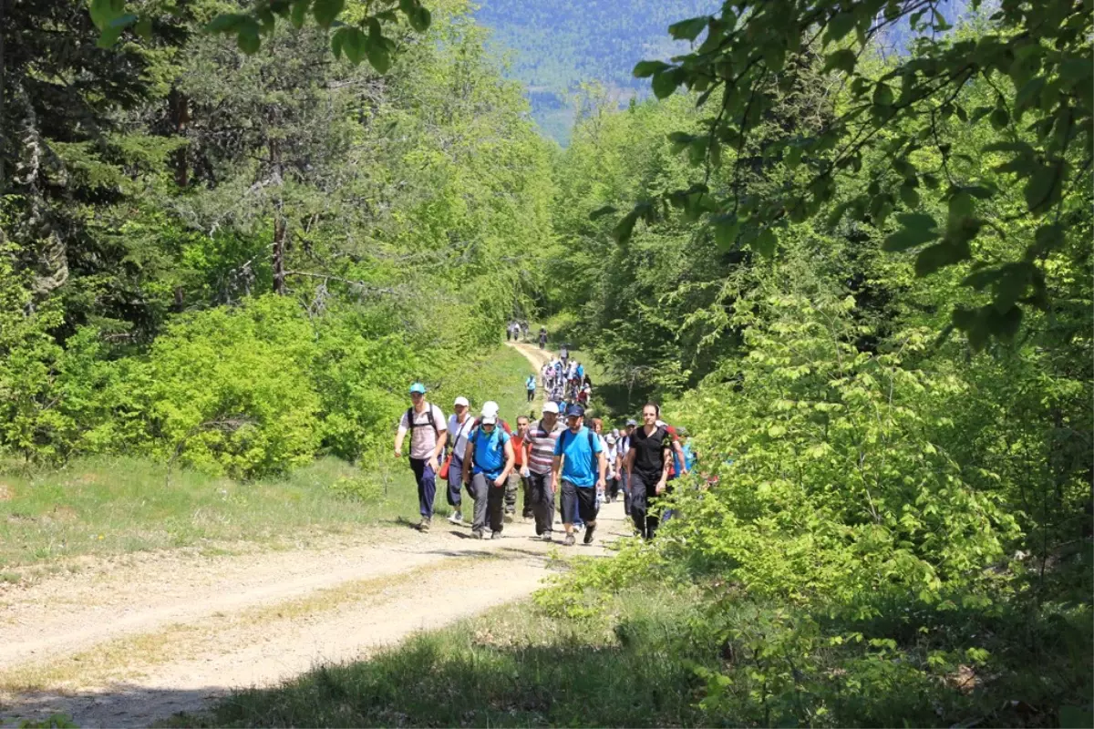 Doğa Yürüyüşleri Devam Ediyor