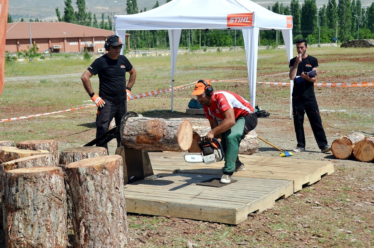 Eskişehirli 5 Orman Köylüsü Dünyanın En Güçlü Oduncusu Olmaya Aday