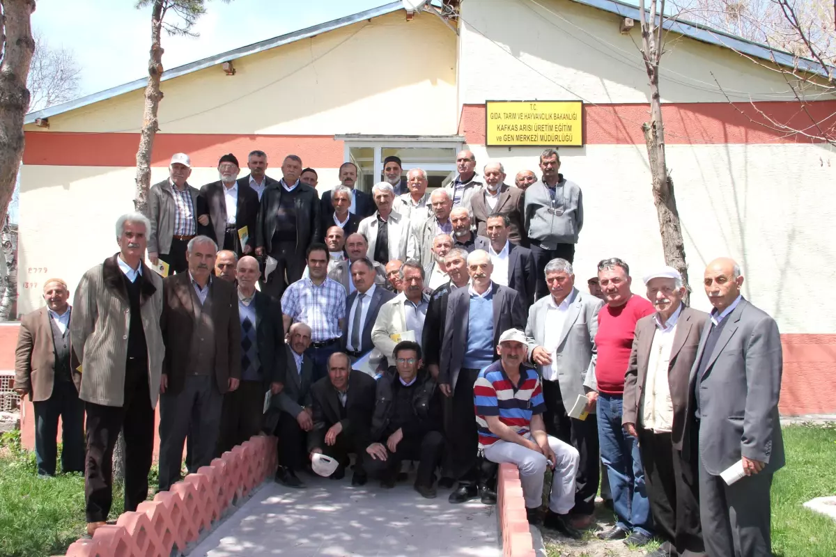 Oltu ve Şenkayalı Arıcılara Kafkas Arısı Tanıtıldı