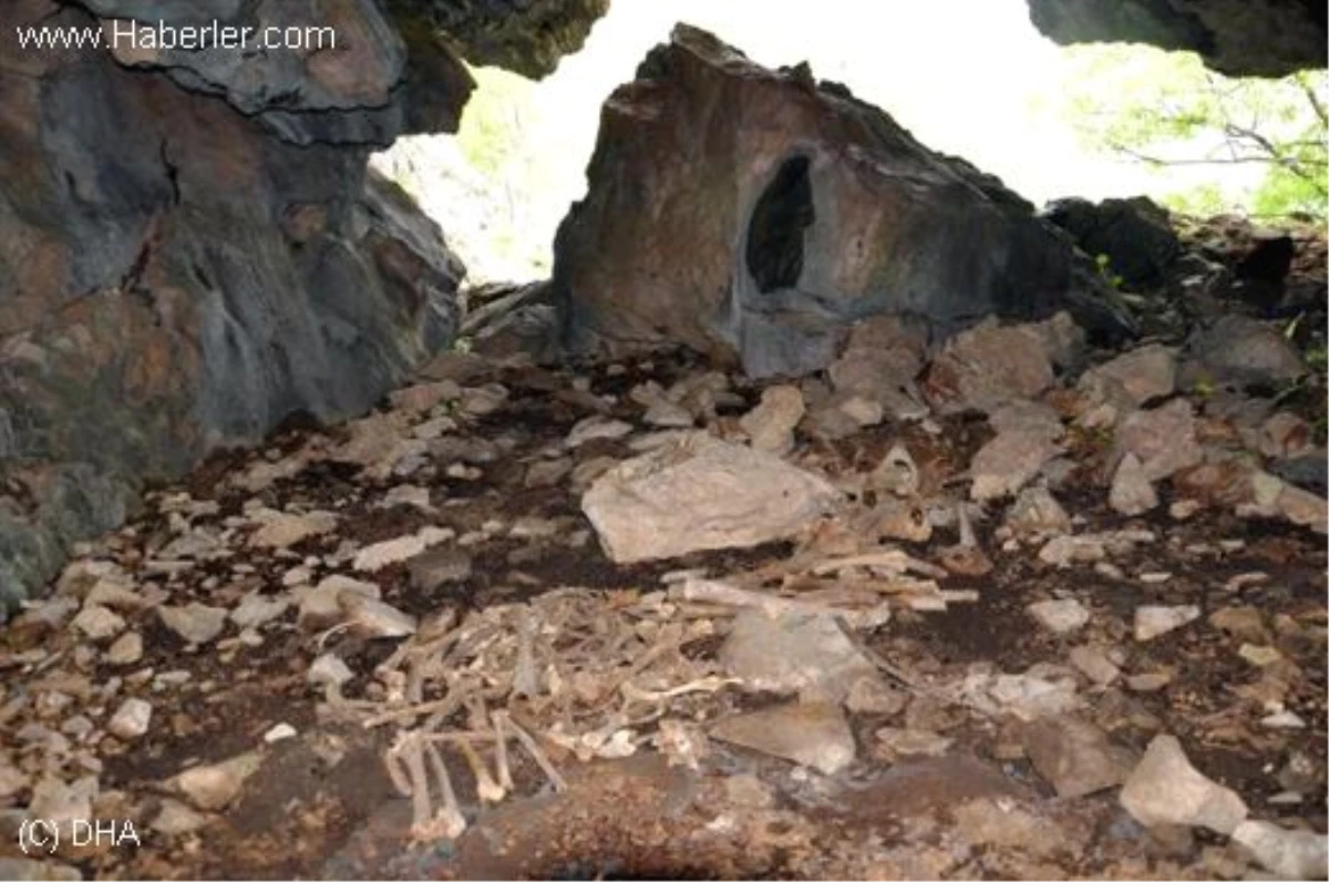Mağarada Bulunan Kemiklere Soruşturma